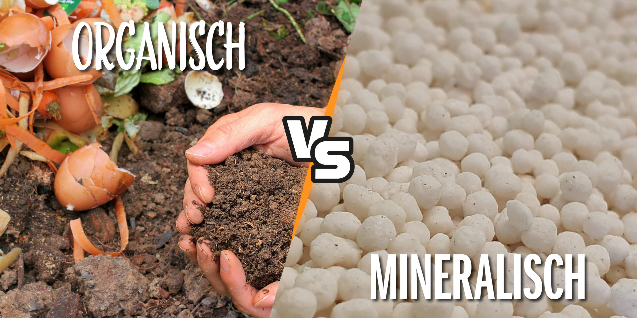 Geteiltes Bild mit Vergleich von organischem und mineralischem Dünger. Links ist verrottende organische Substanz zu sehen, Hände halten Erde mit der Aufschrift „Organisch“. Rechts ist weißer körniger mineralischer Dünger mit der Aufschrift „Mineralisch“ zu sehen. In der Mitte ist deutlich das Wort „VS“ zu sehen.